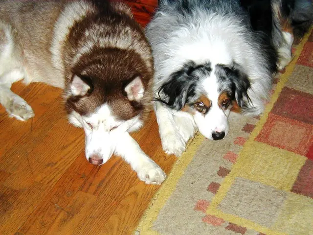 Guidelines for Performing Pelvic Floor Muscle Strengthening Routines