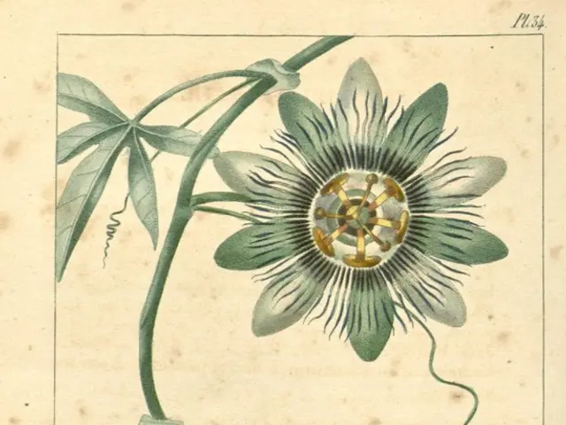 Expansion of iPSC Product Line and Commercial Operations to be Fueled by Secured Financing through...