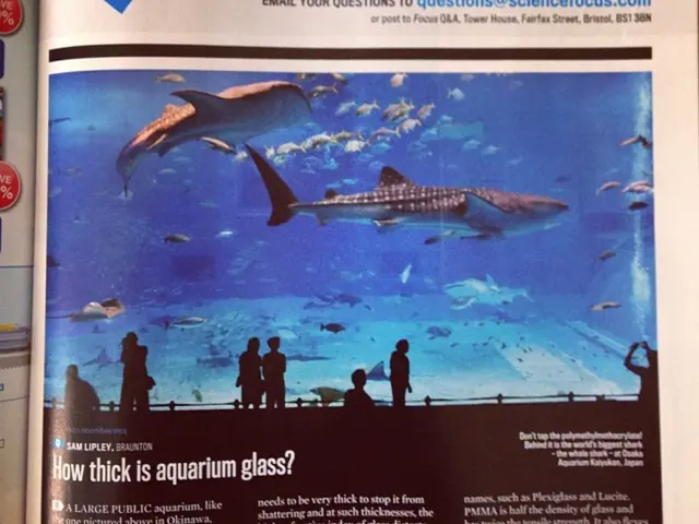 Revealed: The Cause Behind Hulk Hogan's Demise