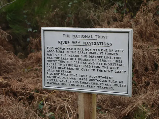 Debate on Protein Sources: Comparing Animal-Derived versus Plant-Based Proteins - Optimal Choice?