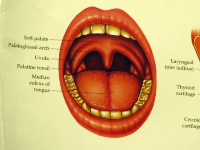 Post-suturing Tongue Care: Recovery Period, Healing Timelines, and Signs for Medical Assistance...