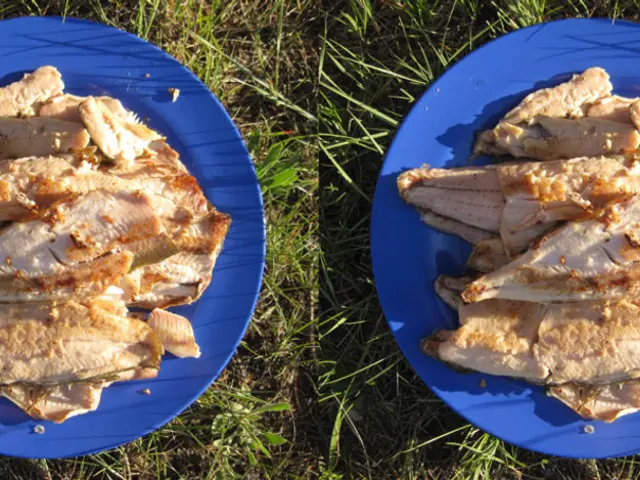 Artificially Produced Beef Muscles Now Replicate Real Ones, Bringing Simulated Burgers Without...