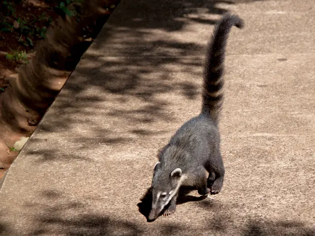 Potential Adverse Effects of Humira (adalimumab): Ranging from Common and Mild to Severe