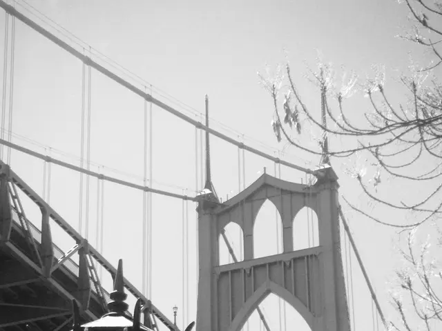 Zoo's newest lion enclosure restricted to select visitors only!