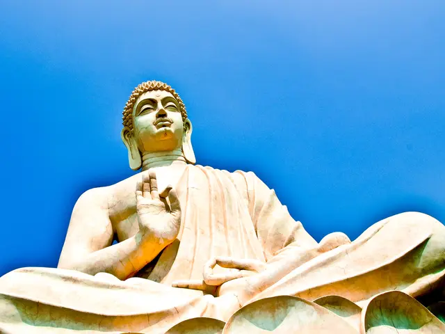 Meditation's Impact on the Human Mind Examined