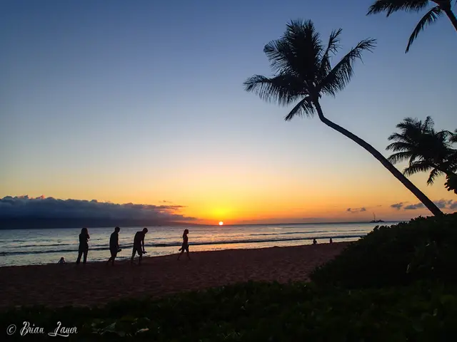 Working a four-day work week might significantly impact your physical wellbeing