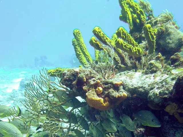 Offshore Chemical Waste Dumping Ground in Southern California