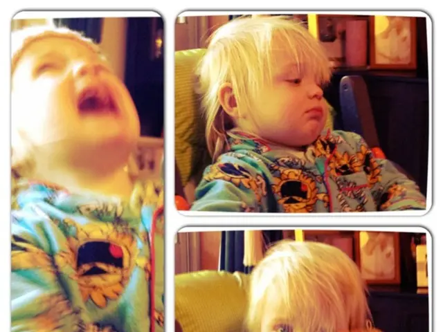 Impactful Parental Role in Emotional Regulation: Three Keys to Radically Alter Your Child's...