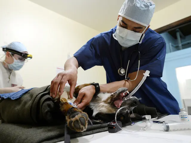 underwent breast cancer surgery, now back for further medical treatment