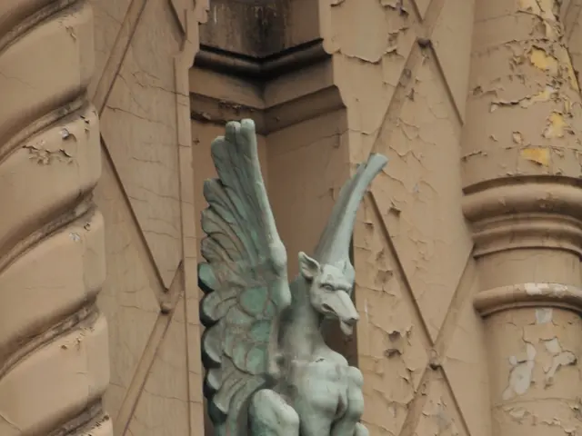 Leukemia classification: Distinct symptoms, causes, treatments, and other key points