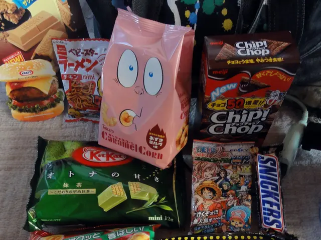 Delivery of Aid to Gaza: Understanding the Frequent Delays