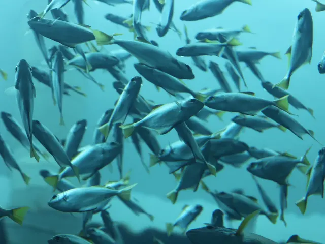 Swimming in the Bathing Lake: Who Else but Me Taking a Dip? (Paraphrased)