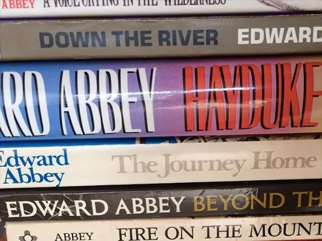 Da Vinci's 500-year-old enigma deciphered: The concealed triangle within the Vitruvian Man revealed