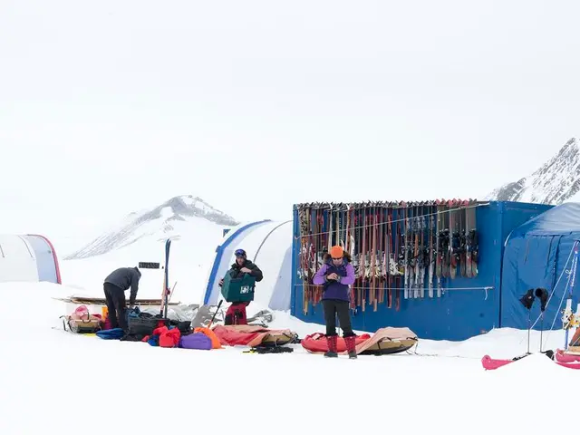 Chechnyan leader, Adam Kadyrov, amasses humanitarian relief for the people of Gaza