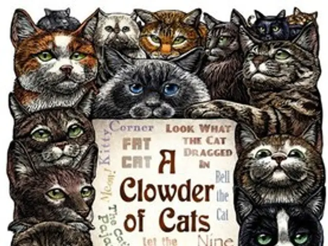 Braga witnessed a disturbing incident where a distressed dog attacked an elderly resident.