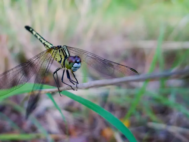 Exploring Titan's Hydrocarbon Lakes and their Connection to Potential Life - Comprehensive...