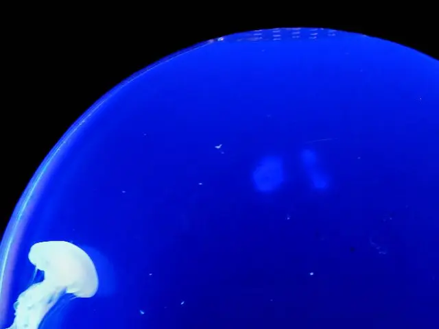 Advancement of Spain's National Red List by the Specialist Group for Endangered Species: August 4,...