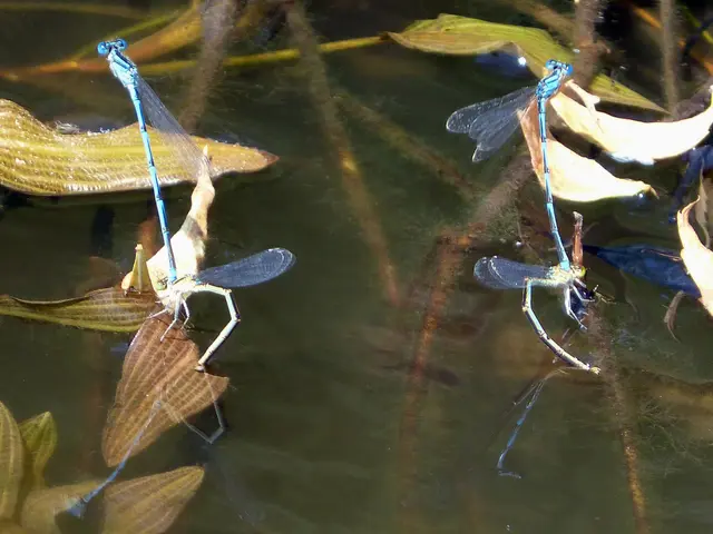 Ongoing biological purification in the smaller administrative division