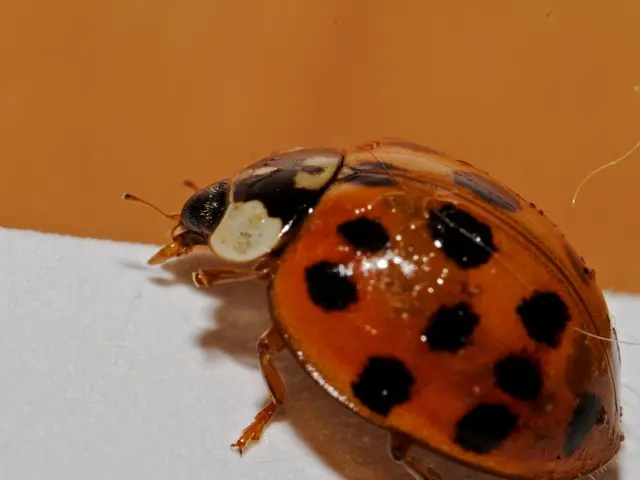 Shingles transmission: Is it through contact or airborne particles?