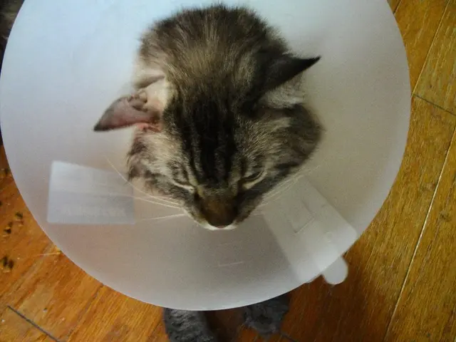 Results of Anaconda Biomed's ANAIS study published in the American Journal of Neuroradiology