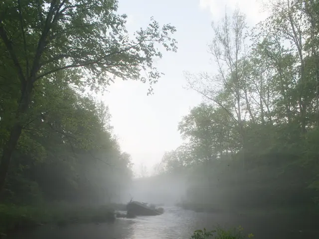 Examining Equal Rights in Environmental Issues: A Law-Based Examination of Fairness