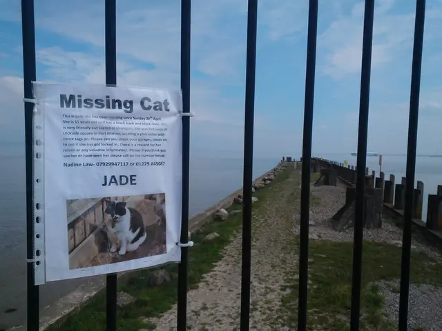 Water boiling advisory persists in Malibu due to bridge construction hold-ups, necessitating...