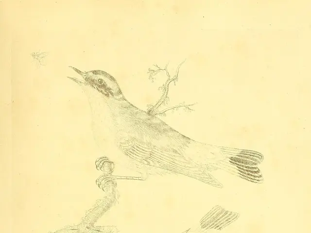 Toxic bird found in Pettendorf: Potential threat to both humans and animals