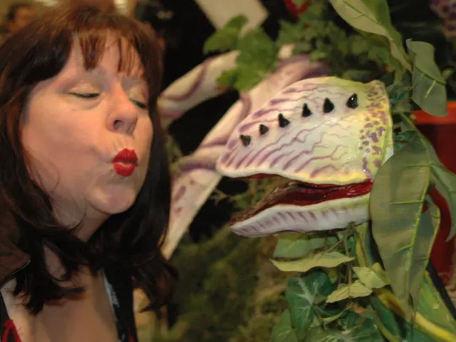 Vaginal Fistulas: Descriptions, Signs, and Causes