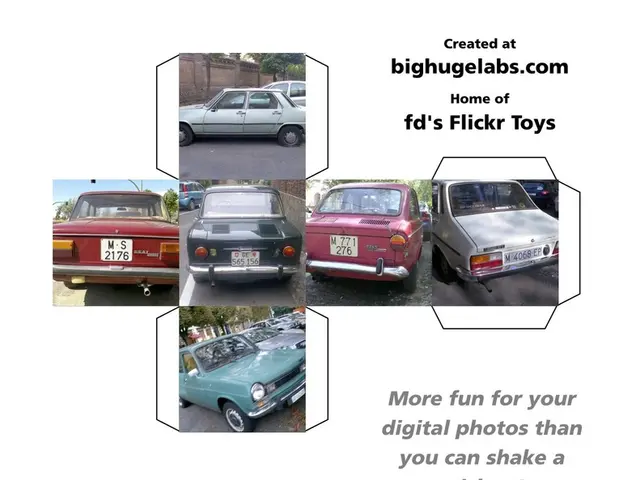 Proposal required from the Commission on safeguarding workers from potential risks due to ionizing...