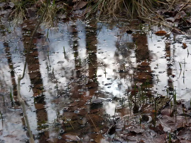 Experiencing Watery Discharge? Let Me Explain the Meaning Behind It
