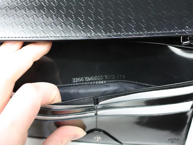 Wallet Theft Dreams Unveiled: Insights from Your Dreams about Loss and Safety