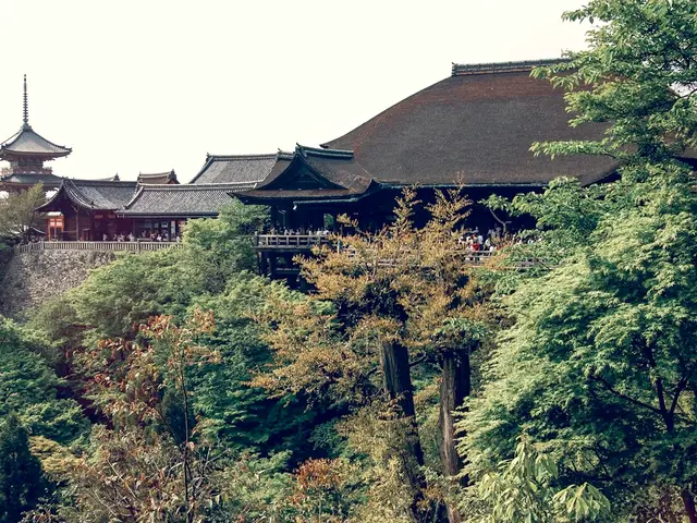 Planet Earth's Eldest Trees: Discovering the Hidden Knowledge They Conceal - During Earth Day...