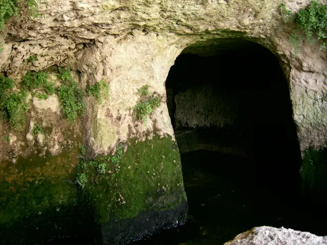 Research Uncovers Primitive Life Forms in Antarctic Ice Caves and Ancient Lava of South Africa