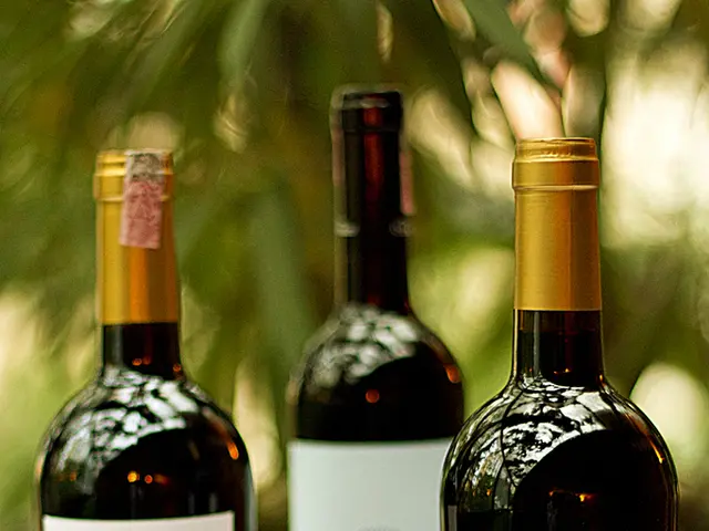 PacBio reveals intention to enhance methylation identification within HiFi chemistry processes