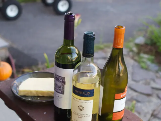 Struggling With Digestion on a Vegan Diet? Here's Some Relief Strategies