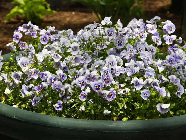 Distinguished Discovery: Possible New World Discovered within Inhabitable Zone of the Star Nearest...