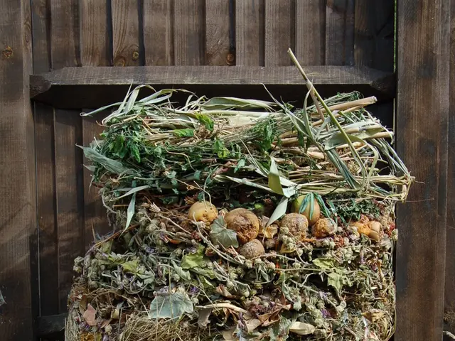 Gene Hackman's Estate Infested with Various Bugs