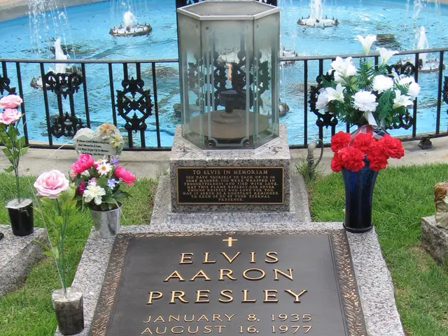 Dementia Progression: Recognizing Signs, Exploring Treatments, and Understanding Prognosis