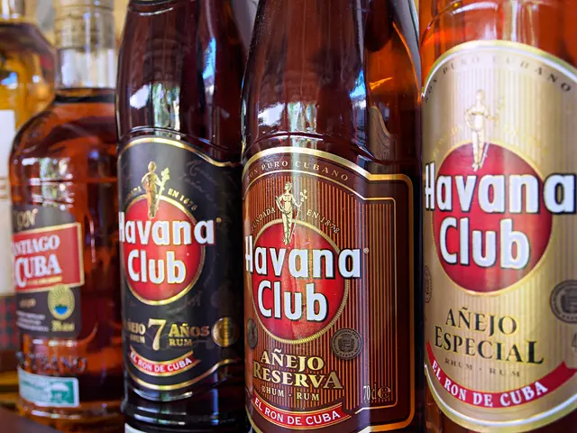 Zyn Nicotine Pouches: Safety and All You Should Understand