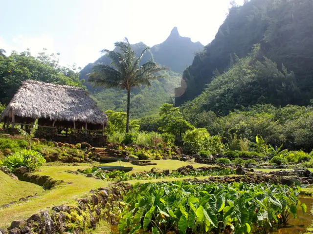 Differences and Comparisons Between Myofascial Pain Syndrome and Fibromyalgia