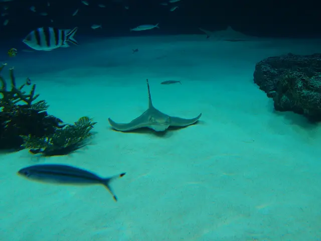 Researchers at Scripps granted almost $5 million to investigate causes of lethal, toxic algal...