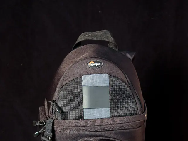 Allakos Shares Experiencing High Demand Today