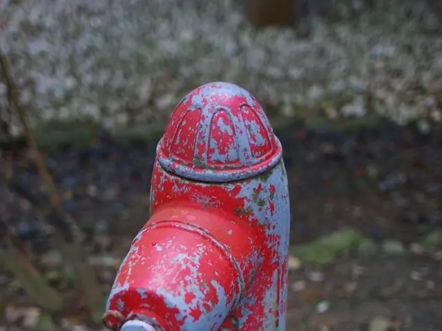 New water supply pipeline installation in Janakpuri confirmed by Delhi Jal Board to National Green...