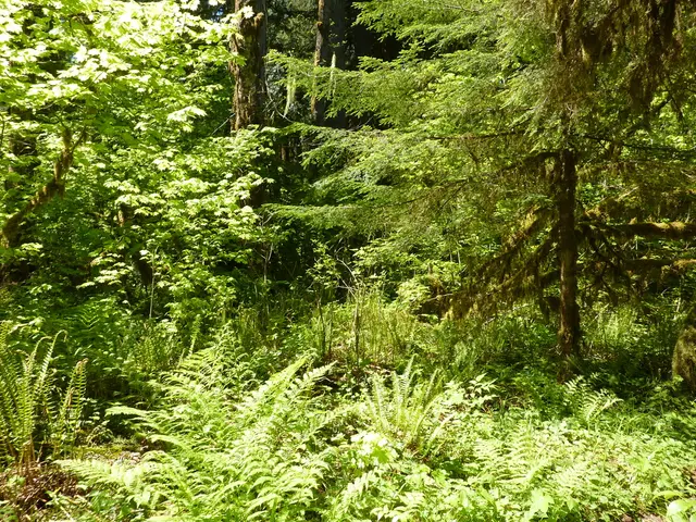 Uncovering the enigmas of dark matter through the discovery of two exotic galaxies