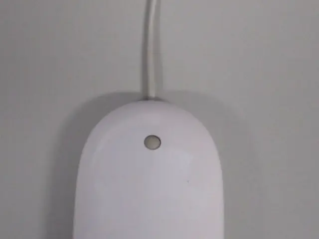 Brain cells rejuvenate following injury in preliminary investigations involving anti-depressants