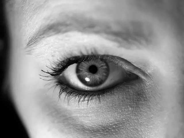 An Examination of Eye Tracking Tech in Cosmetic Procedures: Investigating Altered Facial Focus...