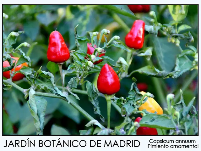 Dietary guidelines for managing rosacea: Foods to consume and avoid consuming