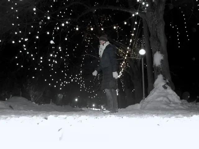 Strategies for Overcoming "Winter Depression" and Seasonal Affective Disorder during the Current...