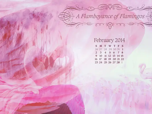 Practical Weight-Loss Aims for the New Year Suggested by Nutrition Experts This Year