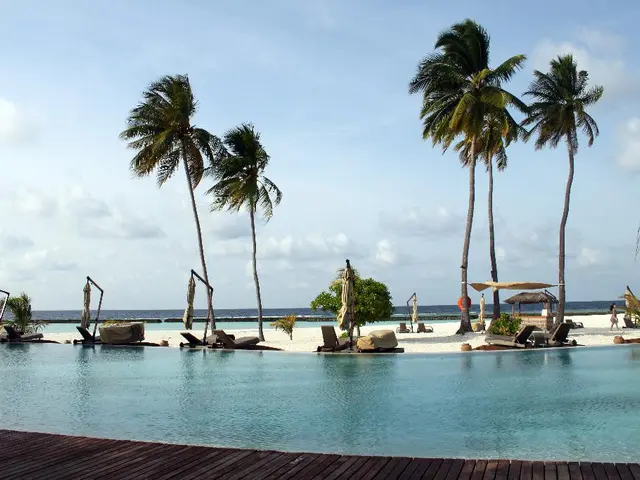 Amphibious seating for children introduced at wheelchair-friendly coastlines